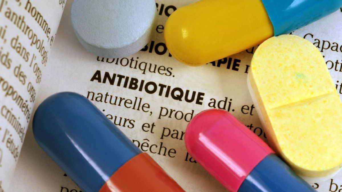 Global Efforts to Tackle Antimicrobial Resistance: What’s New in 2025